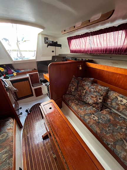 scampi 30 5 of 6