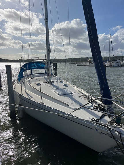 scampi 30 2 of 6