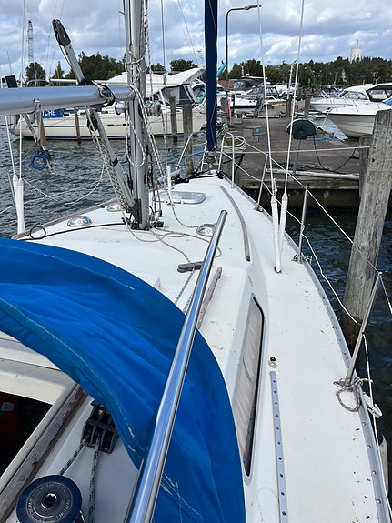 scampi 30 4 of 6