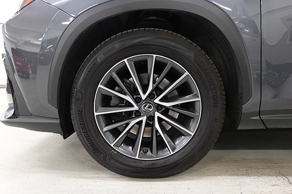 Lexus NX350h 25 of 25