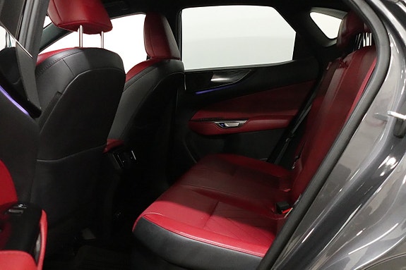 Lexus NX350h 5 of 25