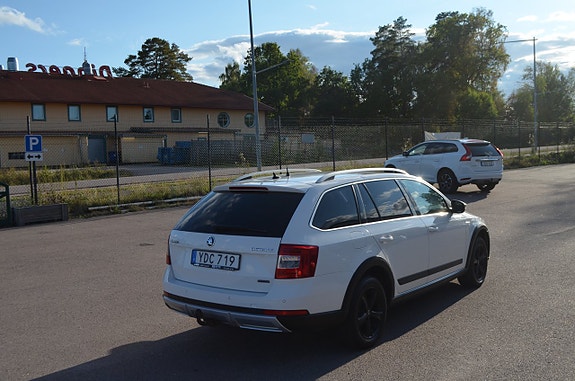 Skoda Octavia Scout 14 of 27