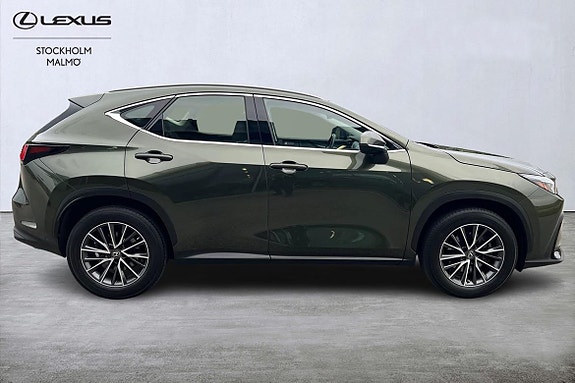 Lexus NX350h 6 of 24