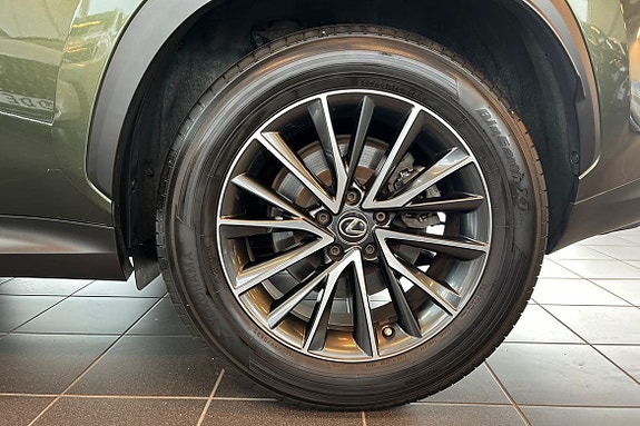 Lexus NX350h 22 of 24