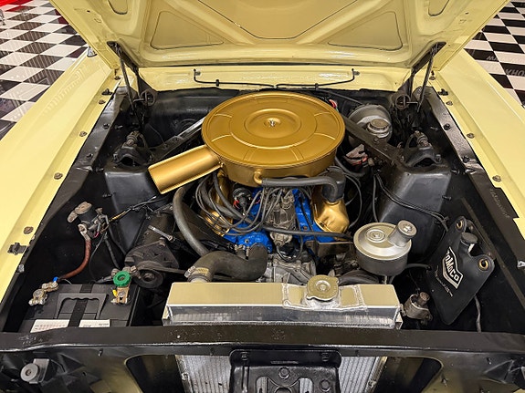 Ford Mustang 22 of 24