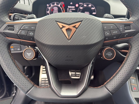 Cupra Terramar 13 of 19