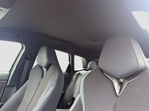 Cupra Terramar 15 of 19