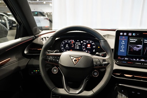 Cupra Terramar 8 of 17