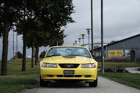 Ford Mustang 3 of 21
