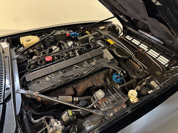 Jaguar XJS 18 of 18