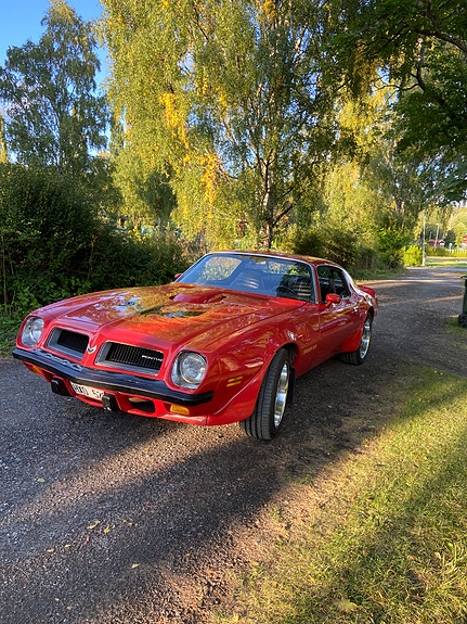 Pontiac Firebird 9 of 10
