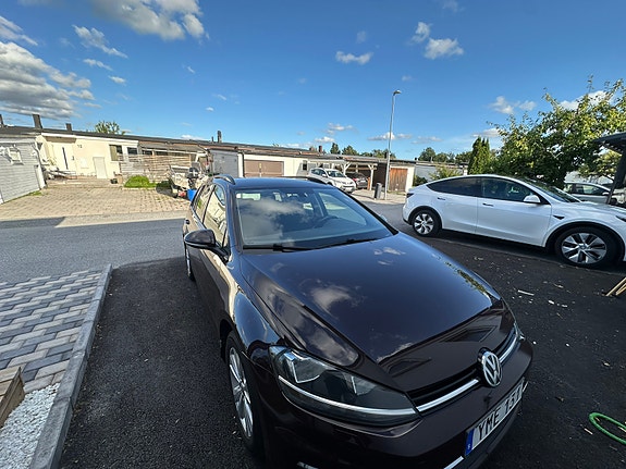 Volkswagen Golf VII 5 of 8