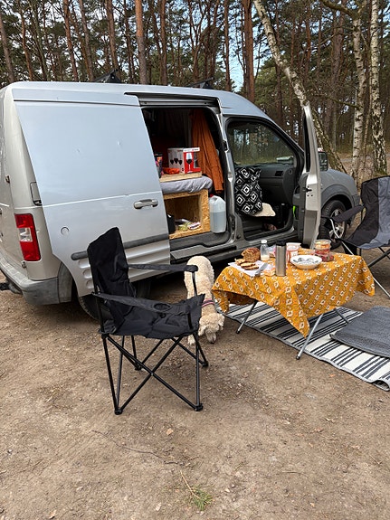 Ford Transit Connect 2 of 2