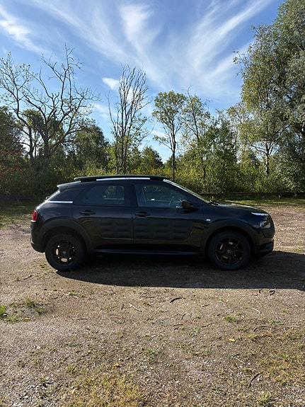 Citroen C4 Cactus 3 of 10
