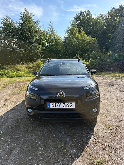 Citroen C4 Cactus 2 of 10