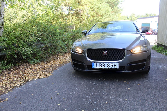 Jaguar XE 11 of 13