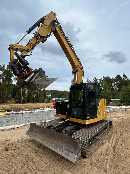 Cat 310 4 of 4