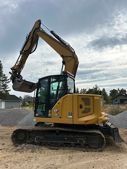 Cat 310 3 of 4