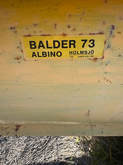 Balder 73 Albino 2 of 2