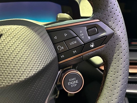 Cupra Terramar 13 of 15