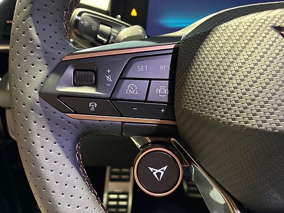 Cupra Terramar 12 of 15