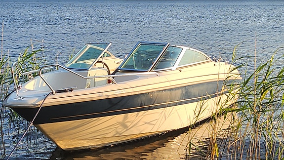 Nyservad Yamarin 5820, Yamaha 115, trailer 2 of 4