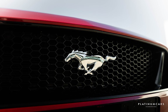 Ford Mustang 15 of 19