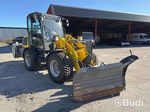 Hjullastare Wacker Neuson WL52, -2024 (248 ti... via auktion 4 of 27