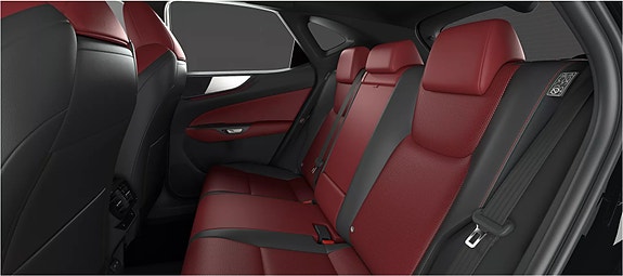Lexus NX450h+ 12 of 15