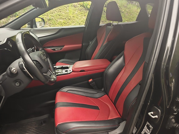 Lexus NX450h+ 10 of 15