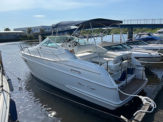 Chris Craft 252 2 of 6