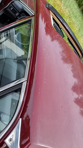 Volvo 244 5 of 12