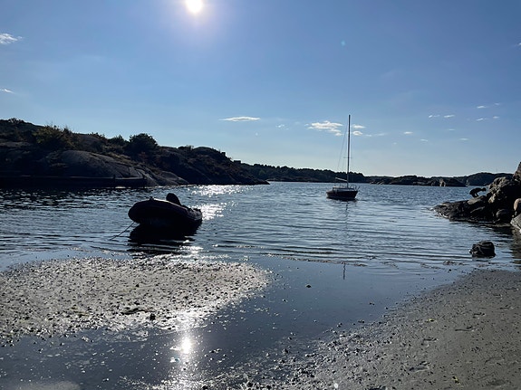 Fantastisk RIB Zodiac 420 PRO 40hk Evinrude E-tec 6 of 6