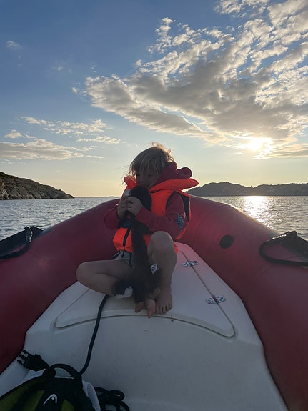 Fantastisk RIB Zodiac 420 PRO 40hk Evinrude E-tec 4 of 6