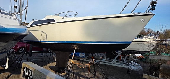 Maxi 77 2 of 6
