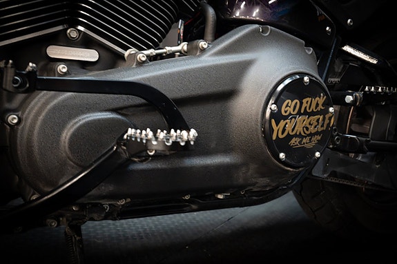 Harley-Davidson Softail Low Rider S (FXLRS) 15 of 23