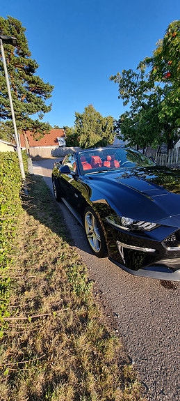 Ford Mustang 6 of 7