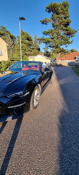 Ford Mustang 7 of 7