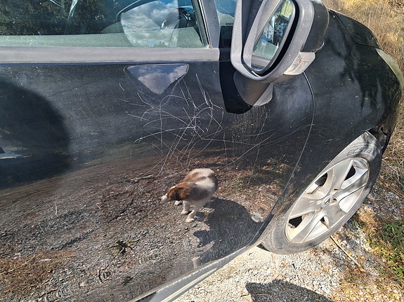 Renault Clio 9 of 10