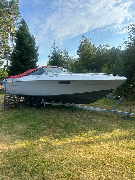 Wellcraft 23 Nova xl ”nyrenoverad v8” -89 5 of 7