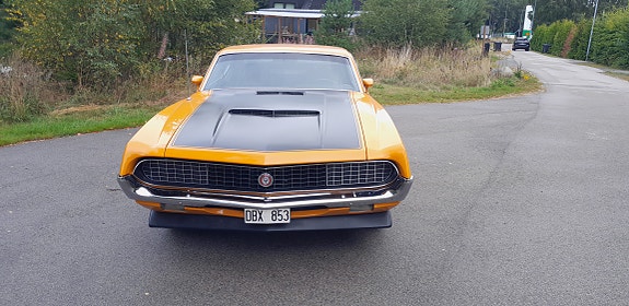 Ford Torino 3 of 8