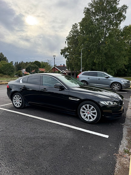 Jaguar XE 7 of 7