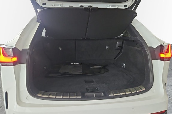 Lexus NX450h+ 11 of 21