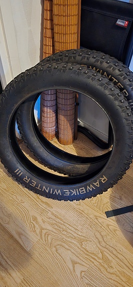 Rawbike 4x 750W 8 of 9