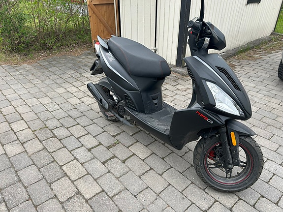 Motocr T-Rex 4 of 4