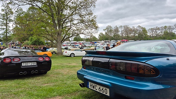 Pontiac Firebird 14 of 24