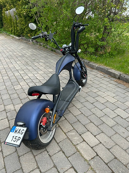 Mancini Mangosten M1 4 of 4