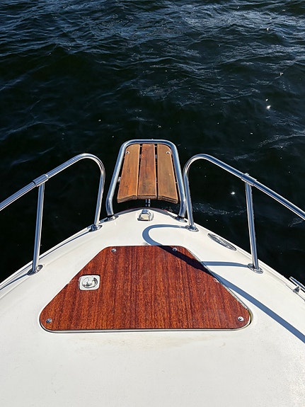 Sällsynt & välskött Sea Ray 215EC, 1996 – ovanligt mörkblått skrov 5 of 12