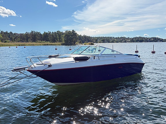 Sällsynt & välskött Sea Ray 215EC, 1996 – ovanligt mörkblått skrov 3 of 12