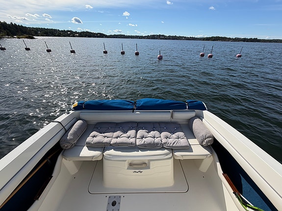 Sällsynt & välskött Sea Ray 215EC, 1996 – ovanligt mörkblått skrov 9 of 12